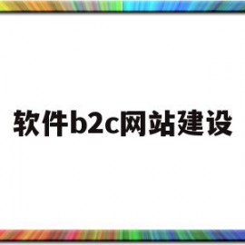 软件b2c网站建设(软件b2c网站建设流程)