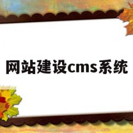 网站建设cms系统(用cms建设网站有什么危害)