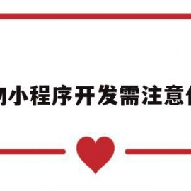 购物小程序开发需注意什么(购物小程序开发需注意什么事项)