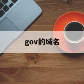 gov的域名(在顶级域名中,gov 是什么意思)