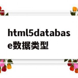 包含html5database数据类型的词条