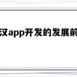 武汉app开发的发展前景好(武汉app开发的发展前景好的公司)