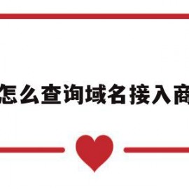 怎么查询域名接入商(怎么查域名备案的接入商)