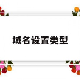 域名设置类型(域名设置类型有哪些)