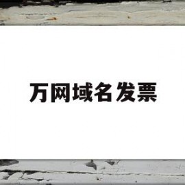 万网域名发票(万网域名管理入口)