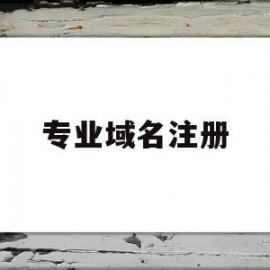 专业域名注册(专业域名注册流程)