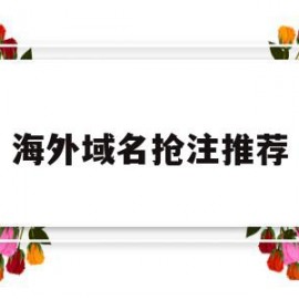 海外域名抢注推荐(注册海外域名的好处)