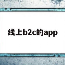 线上b2c的app(b2c线上平台什么意思)
