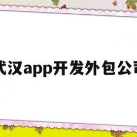 武汉app开发外包公司(武汉app开发和制作的费用)