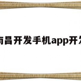 南昌开发手机app开发(南昌软件开发公司)