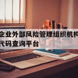 企业外部风险管理组织机构代码查询平台(企业外部风险管理组织机构代码查询平台是什么)