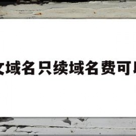 英文域名只续域名费可以吗(英文域名最多可以注册多少个字符)
