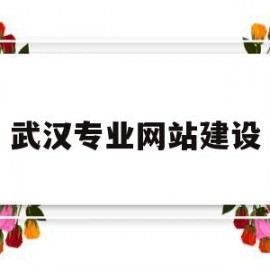 武汉专业网站建设(武汉网站建设方案开发)