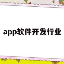 app软件开发行业(app软件开发行业前景)