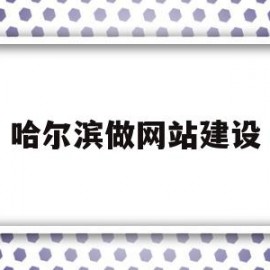哈尔滨做网站建设(哈尔滨做网站建设的企业)