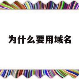 为什么要用域名(为什么要用域名注册)