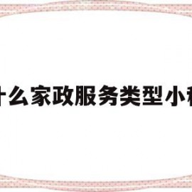 有什么家政服务类型小程序(有什么家政服务类型小程序好做)