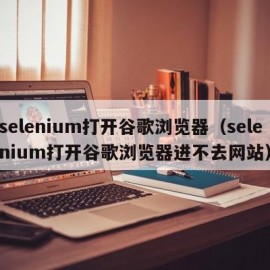 selenium打开谷歌浏览器（selenium打开谷歌浏览器进不去网站）