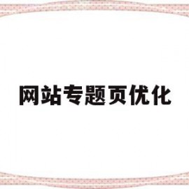 网站专题页优化(网站页面优化总结)