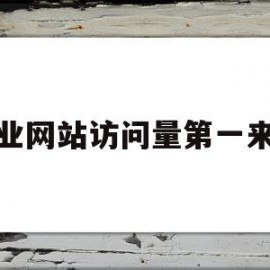 企业网站访问量第一来源(企业网站的访问者都是哪些类别的人)