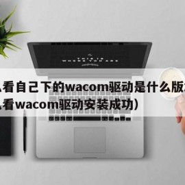 怎么看自己下的wacom驱动是什么版本（怎么看wacom驱动安装成功）