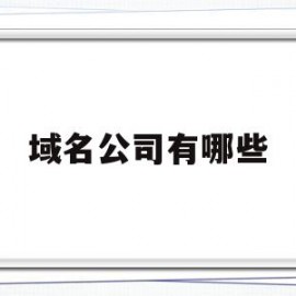 域名公司有哪些(域名行业有赚钱的吗)