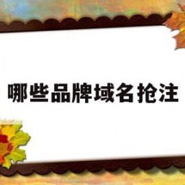 哪些品牌域名抢注(网上域名品牌发展策略有哪些方面)