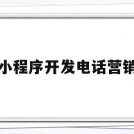 小程序开发电话营销(小程序电话销售技巧和话术)