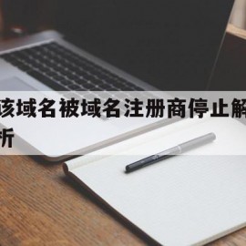 包含该域名被域名注册商停止解析的词条