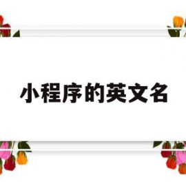 小程序的英文名(小程序英文名字)