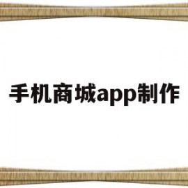 手机商城app制作(商城制作软件)