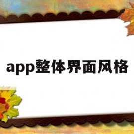 app整体界面风格(app界面设计风格分类)