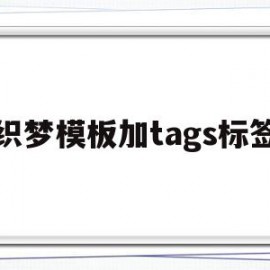 织梦模板加tags标签(织梦tag标签怎么用)