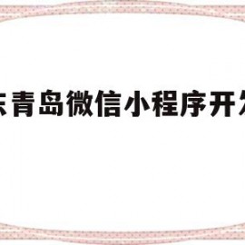 山东青岛微信小程序开发价位(青岛做微信小程序的公司哪家好?)