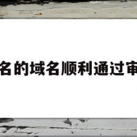 实名的域名顺利通过审核(域名实名认证后下一步怎么弄)