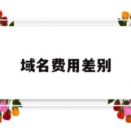 域名费用差别(域名费用差别大吗)