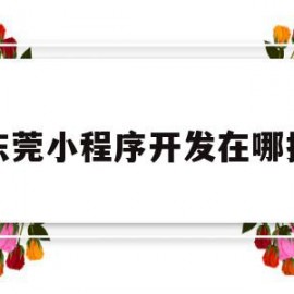 东莞小程序开发在哪找(东莞做微信小程序的公司)