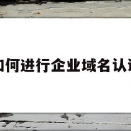 如何进行企业域名认证(企业域名是啥)