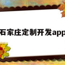 石家庄定制开发app(石家庄软件开发培训学校)