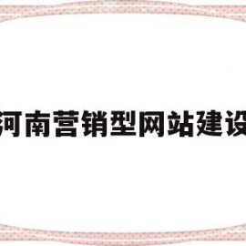 河南营销型网站建设(营销型网站建设解决方案)