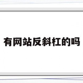 有网站反斜杠的吗(网站的斜杠怎么打出来)