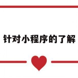 针对小程序的了解(针对小程序的了解有哪些)