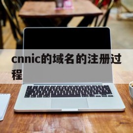 cnnic的域名的注册过程的简单介绍