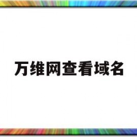 万维网查看域名(万维网域名怎么解析)