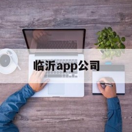 临沂app公司(临沂软件公司排名)