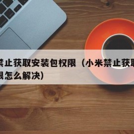 小米禁止获取安装包权限（小米禁止获取安装包权限怎么解决）