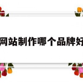 网站制作哪个品牌好(网站制作哪个品牌好一点)