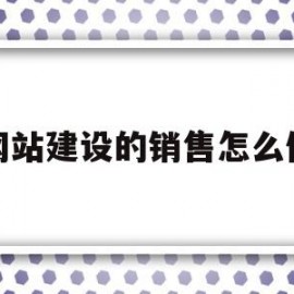 网站建设的销售怎么做(网站建设后怎么更新数据)