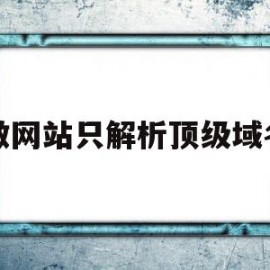 包含做网站只解析顶级域名的词条