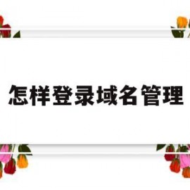 怎样登录域名管理(怎样登录域名管理服务器)